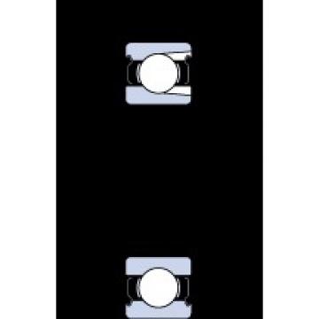 SKF 219-2Z deep groove ball bearings