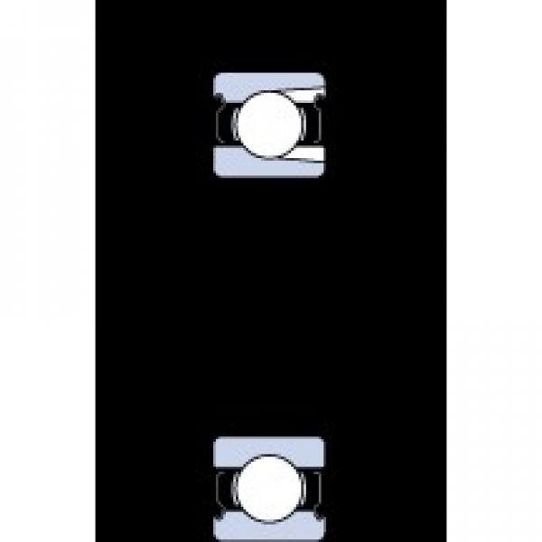 SKF 219-2Z deep groove ball bearings #2 image