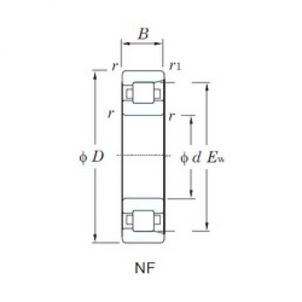 KOYO NF219 cylindrical roller bearings #2 image